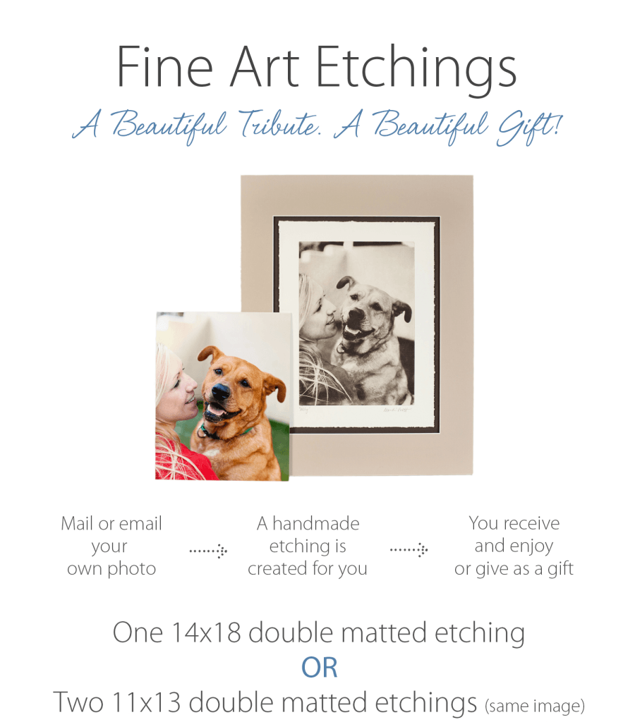 2015-GreyboyPetPrints-etchings