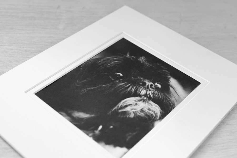 Pet-Etching