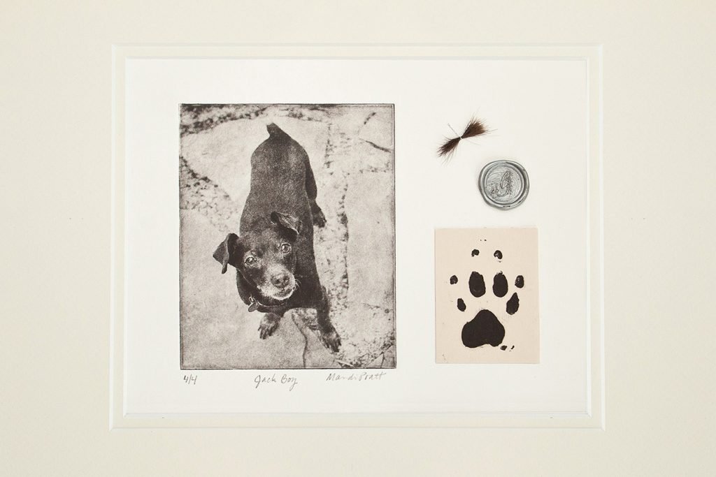 Pet art memorial art with ashes, paw print, fur, dogtag - dog remembrance