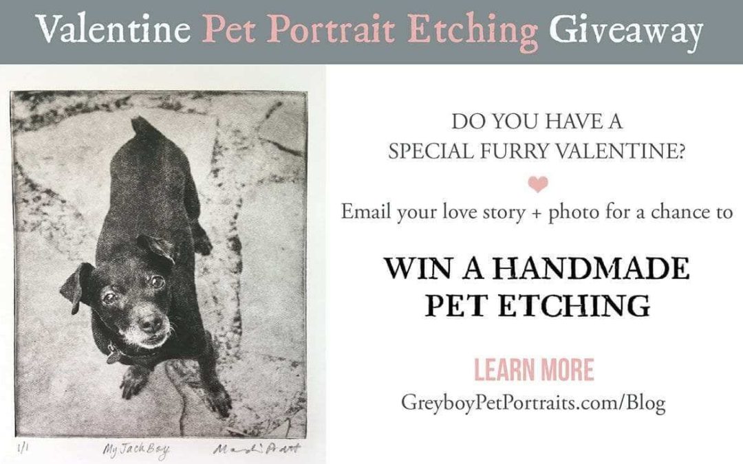 Valentine Pet Portrait Giveaway and Mini Art