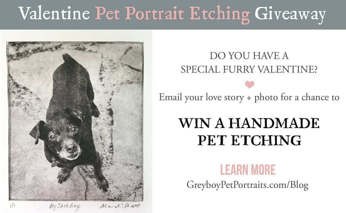 Valentine-Pet-Portrait-Etching-Giveaway