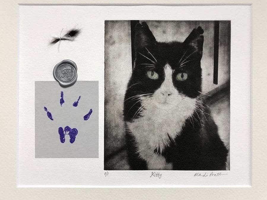 Pawprint Impression Mold for Pet Memorial Art
