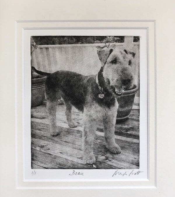 A Special Pet Portrait to Remember