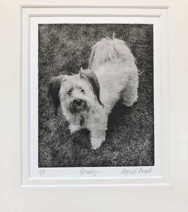 Dog Portrait from Photo | Grady