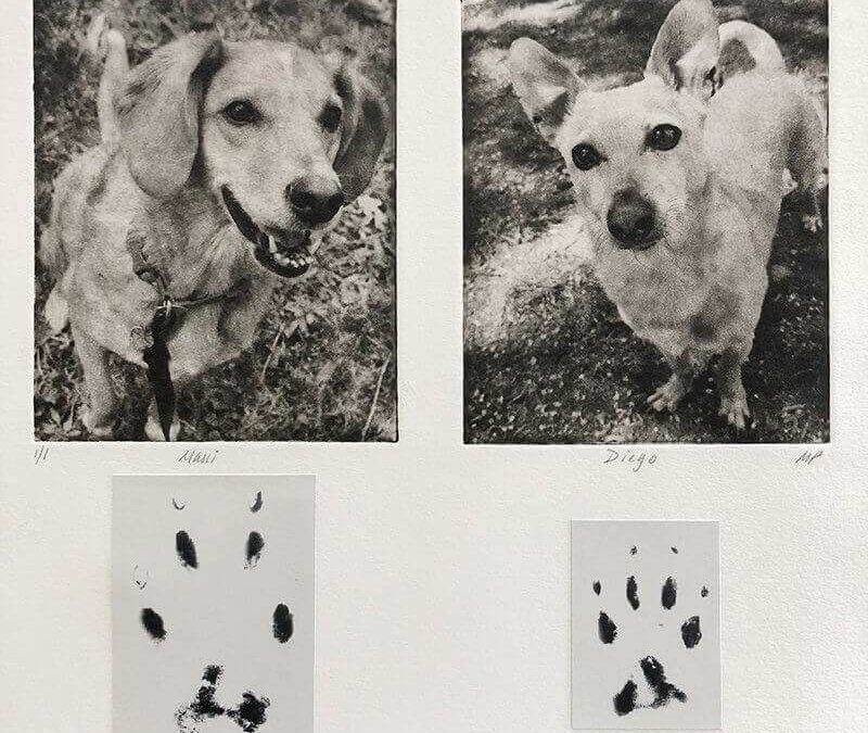 A Beautiful Way to Combine Paw Prints and Dog Collage Art