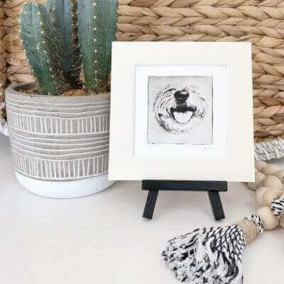 Pet Artwork for small spaces