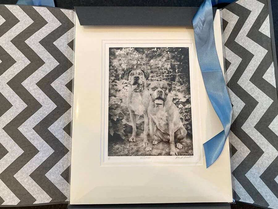Unwrapping Dog Portraits for Duke and Georgia