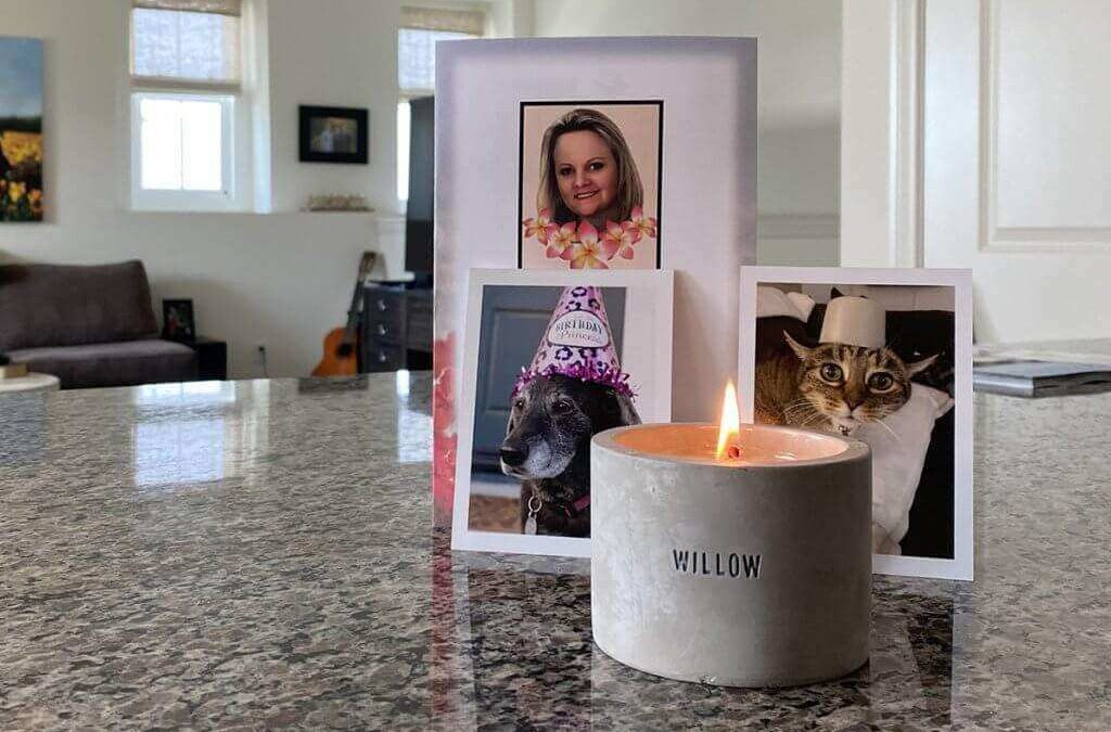 Alternative Resources Pet Loss – Grief Support