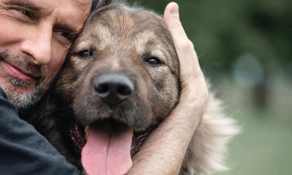 Difficult Decisions: Determining Quality of Life for Our Pets