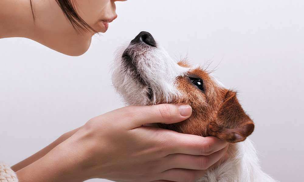 5 Alternatives to Paw Print Art to Gift a Dog Mom or Dad