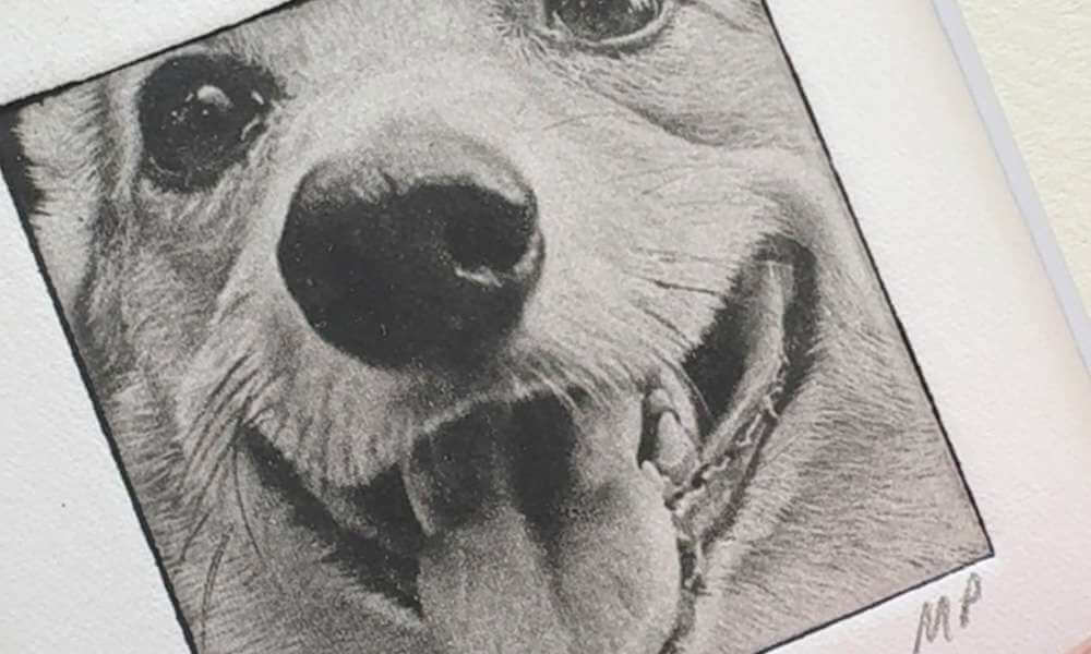 Celebrating Heroes: Dogs on Deployment’s Inspiring Finalists