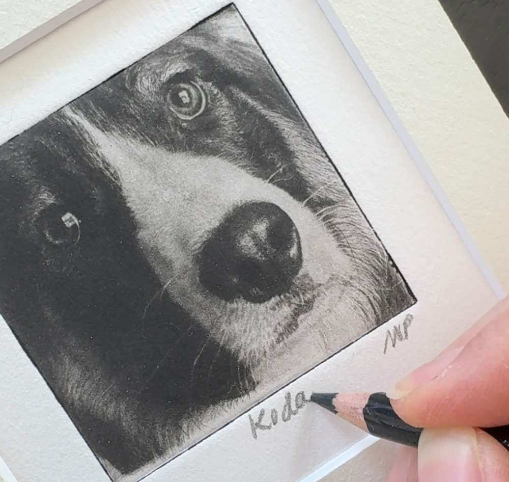 Dog art signed by pet portrait artist Mandi