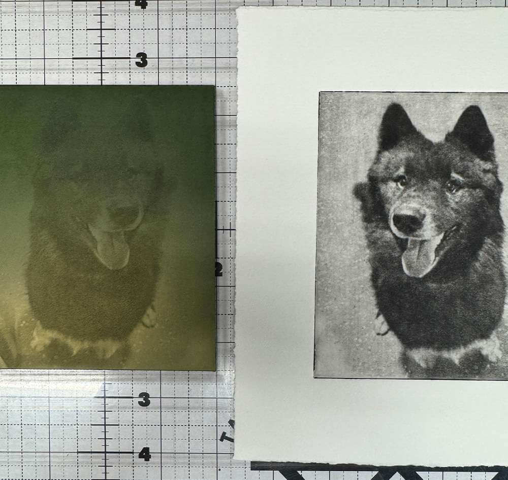 custom pet portrait of dog Nala
