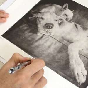 Pet Portrait Artist Signing Dog Portrait Etching