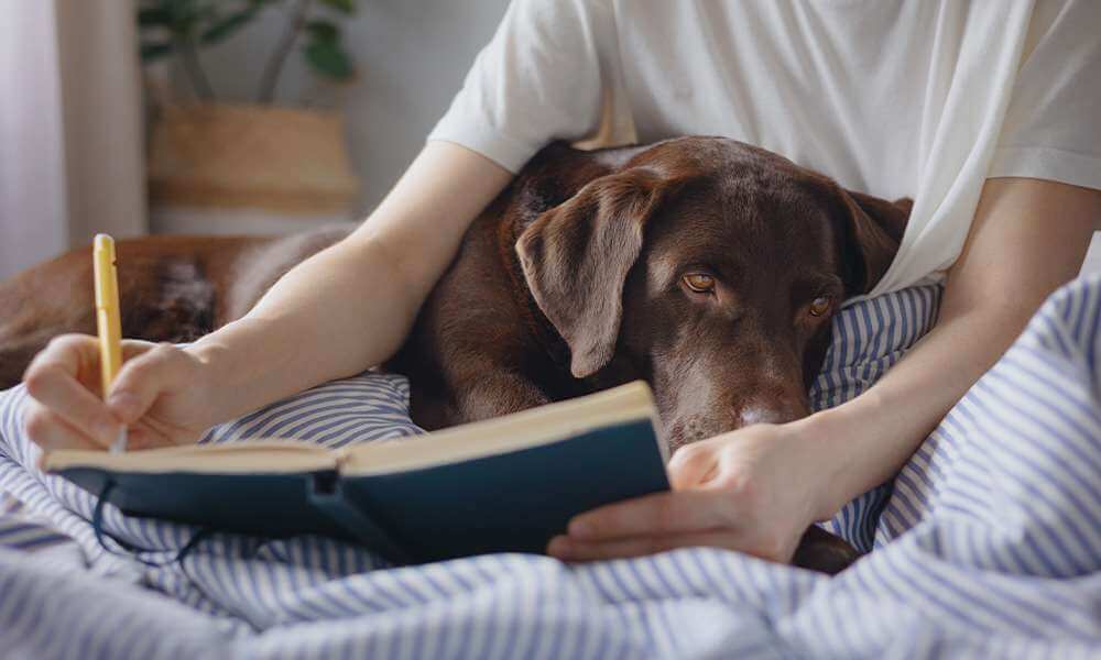 dog laying on owner while she writes poetry