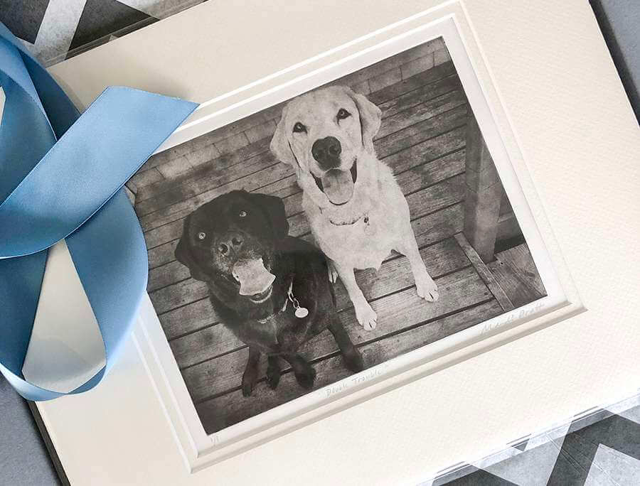 Email-Multiple-Dogs-Custom-Portrait-Packaging Dog-Portraits-Four-Dogs-Sitting-Pretty-Etched-Art