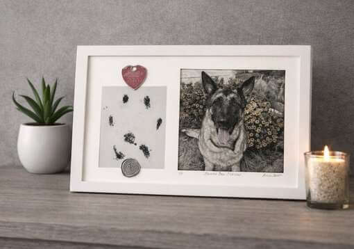 Custom Pet Portrait Etchings Custom Fine Art of Dog